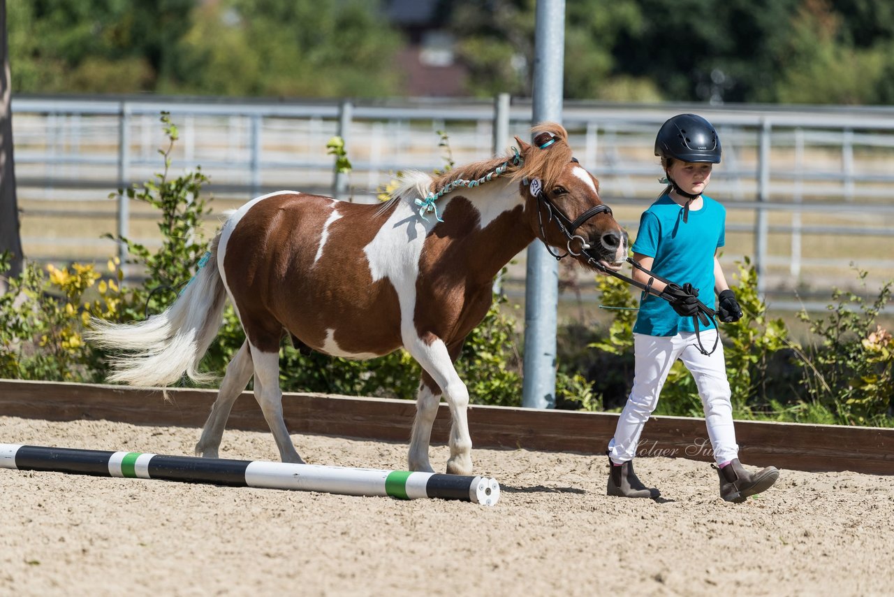 Bild 198 - Pony Akademie Turnier